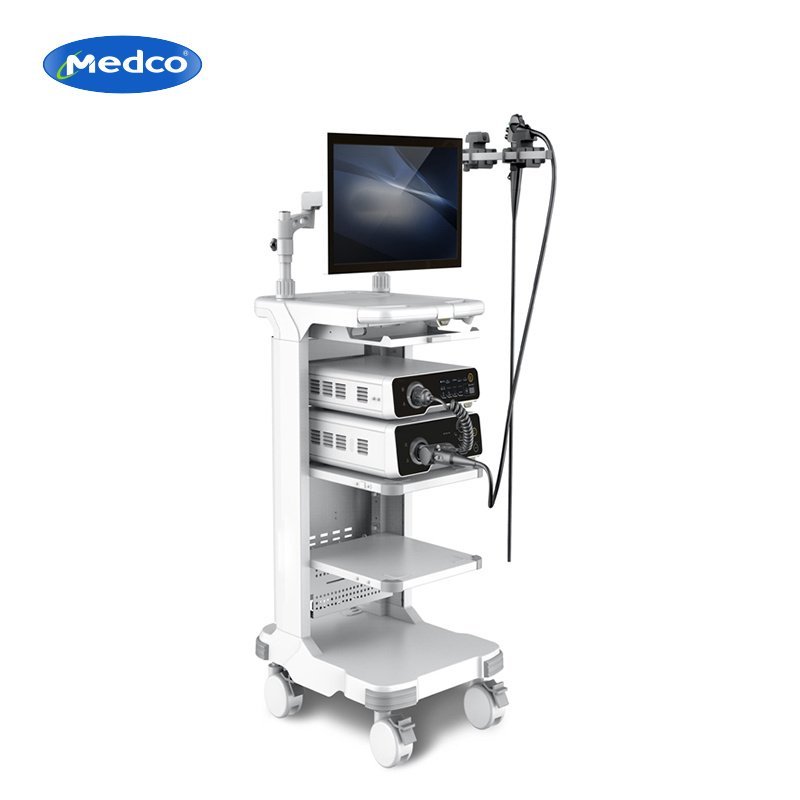 The endoscopic system