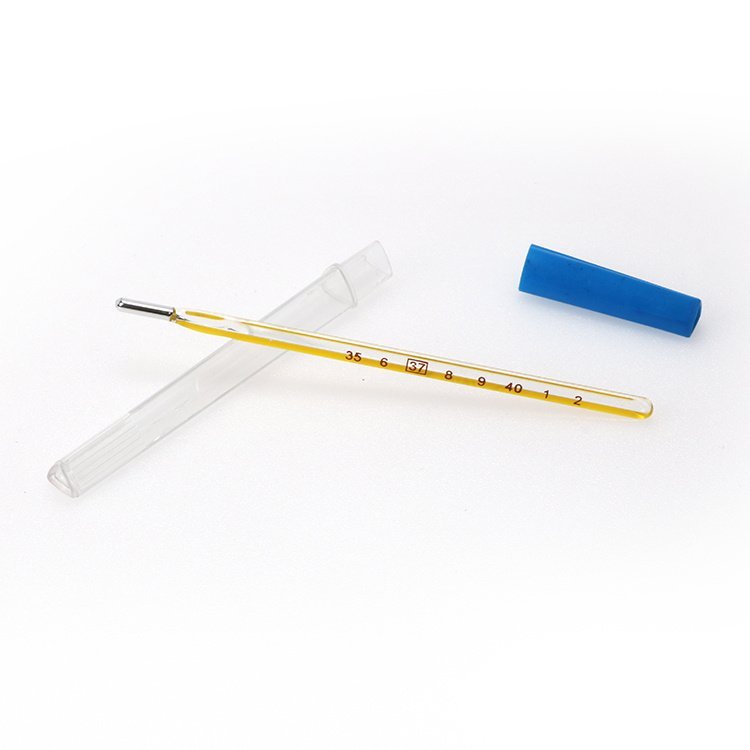 Mercury Glass Thermometer