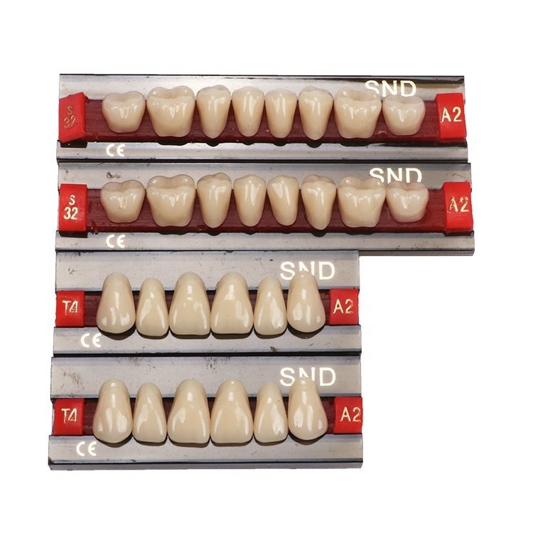shades and familiar moulds alloy screw porcelain denture teeth